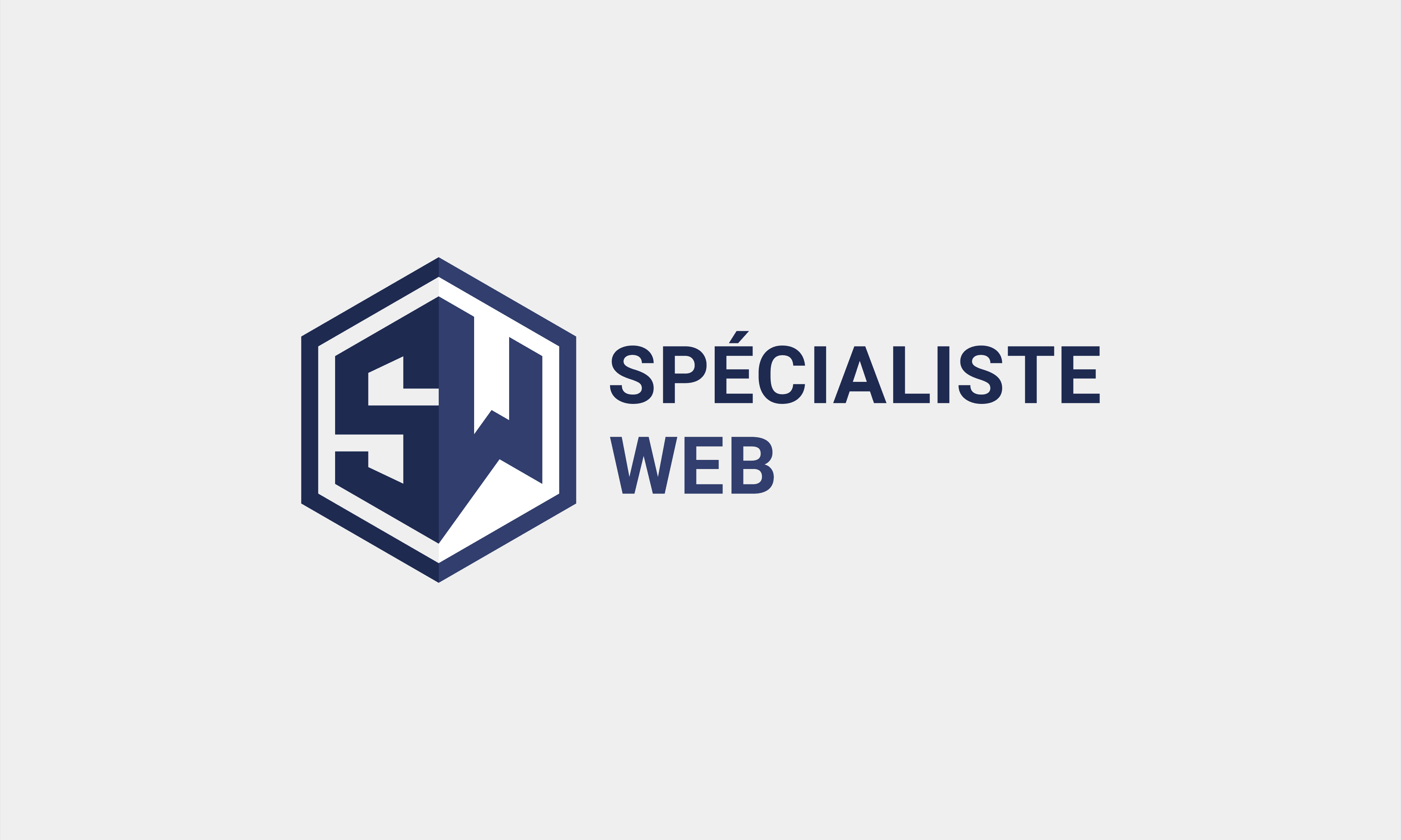 Logo Spécialiste Web | Les spécialistes web et marketing digital